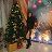 ���� ����, ���������, 48 ��� - ��������� 2 �������� 2026