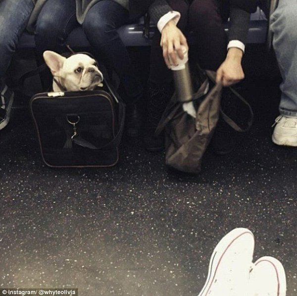  eo -oa o oo o, oo e o  . Aa  ... - 8