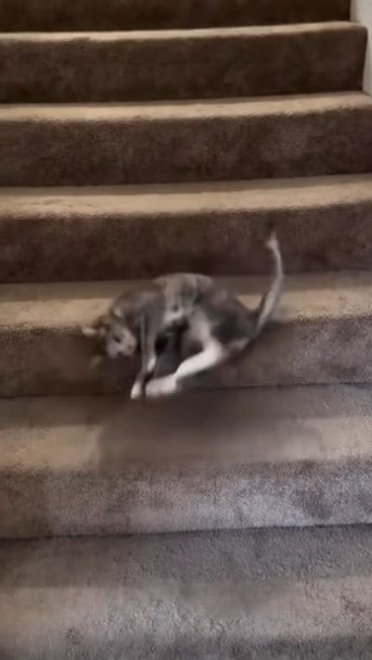 � ������ ����, ��� ���� - ��� �������� - 2