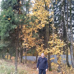 ��������, ������������, 43 ����