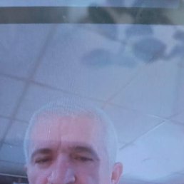 , 54, 