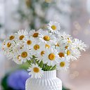 ���� �������, ���� - ��������� 30 ������ 2026 � ������ ������ ��������