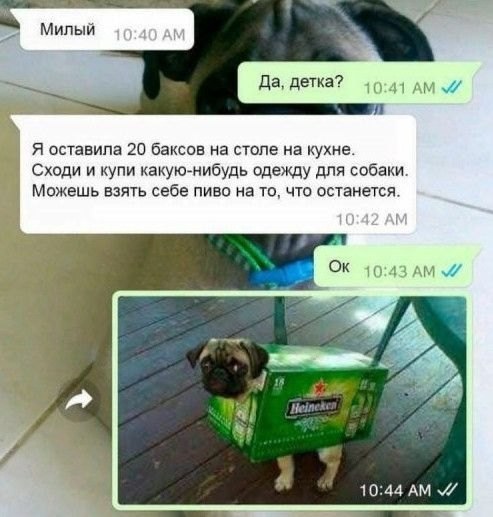  - 13  2024  12:07