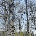 ���� �������, ��� - ��������� 19 ������ 2026 � ������ ���� ����������