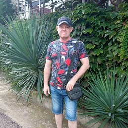 , 43 , 