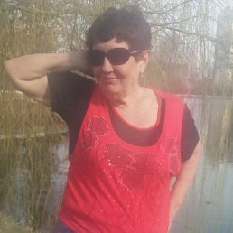 , 66, 