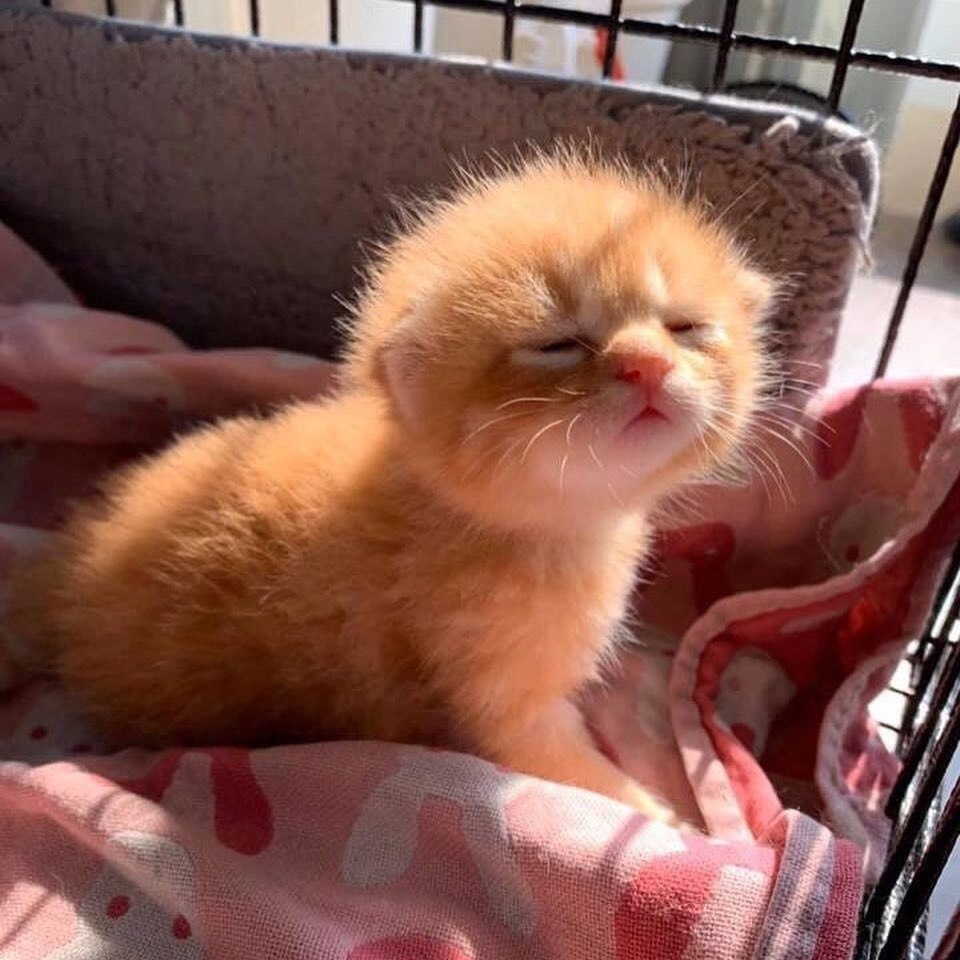      :3