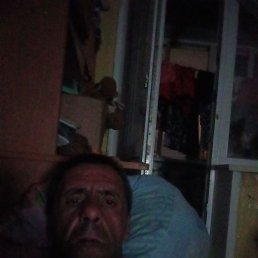  , 41 , 