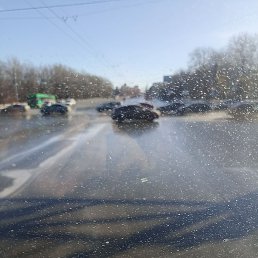 ������, ������, 51 ���