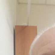 �����, 57 ���, ������