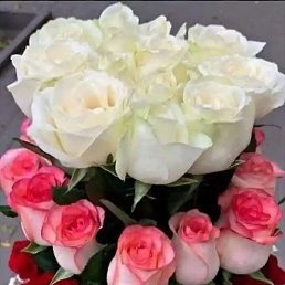 ����, ������, 41 ���