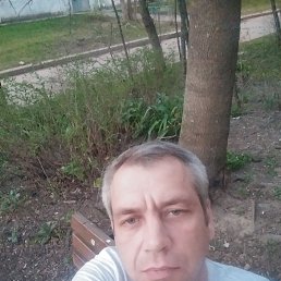 , 42, 