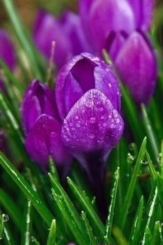      .  ,      ,   ... - 4