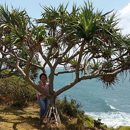 �������, ������, 62 ����