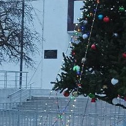 �������, �����, 46 ���