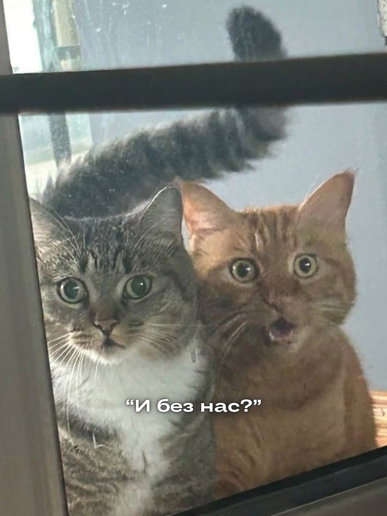 У всех так? - 2