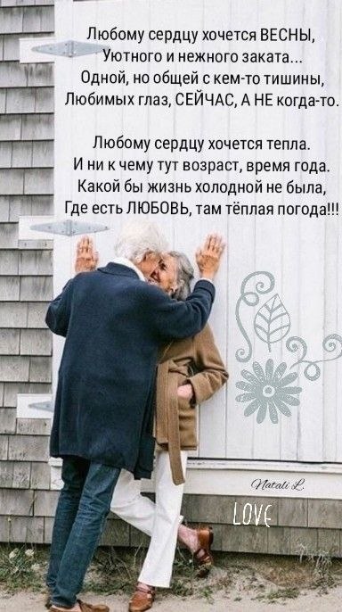   - 19  2024  17:49