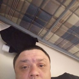 ������, 37 ���, ����