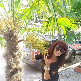 ���, �����-���������, 65 ���