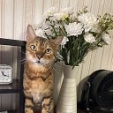 ���� &deg;&bull;&hearts;A����&hearts;&deg;, ������ - ��������� 14 ������ 2025 � ������ ������ ��������