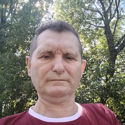 , 65 , 