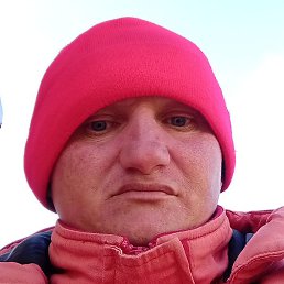 �������, ������-��-����, 41 ���