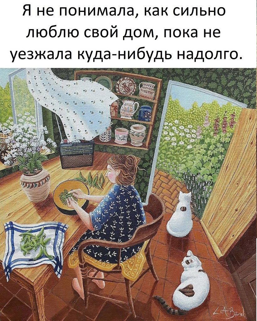  , !() - 14  2024  11:14