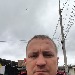 ������, 40 ���, ������������