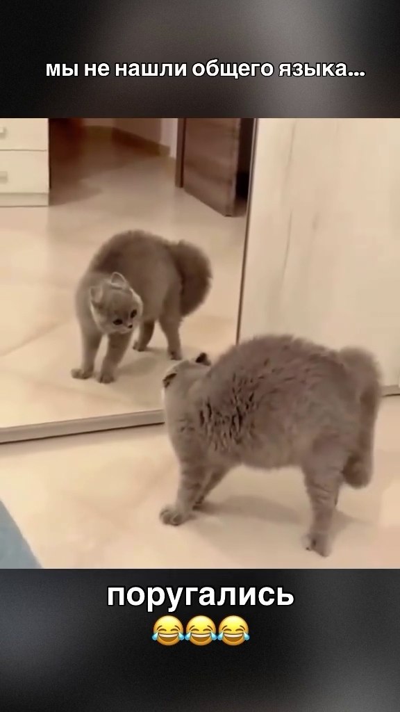 �� ��� � ����������