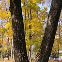 ���� �����, ������, 60 ��� - ��������� 31 ������� 2023 � ������ ���� ����������