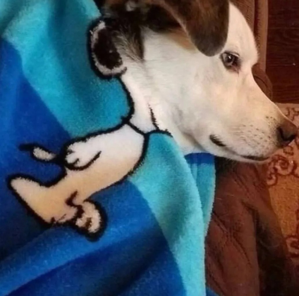 Подборка залипательных фото - 7