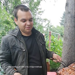 , 36 , 
