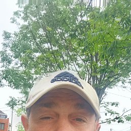 , 52 , 