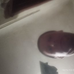 �������, ����, 37 ���