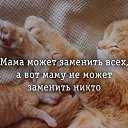 ���� �����, ������, 67 ��� - ��������� 16 ������� 2024 � ������ ������ ��������