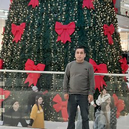 , 37, 