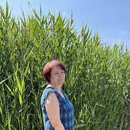 , 55, 