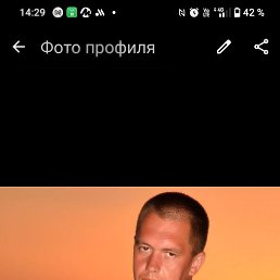 ����� ����, 41 ���, ������