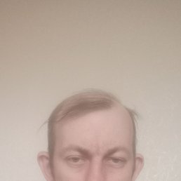 , 41, 