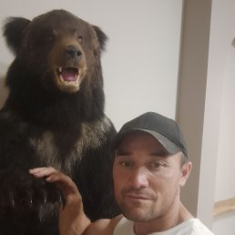 , 36, 