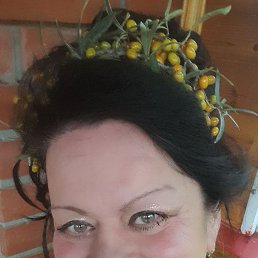 , 59, 
