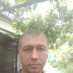 , 36, 