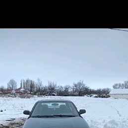 ��������., 52 ����, ����