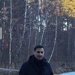 skender, 49, 