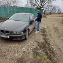 ���� ����, ������, 43 ���� - ��������� 15 ���� 2025 � ������ ���� ����������