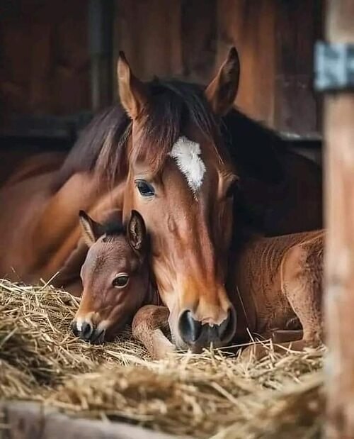 ��� ����!)