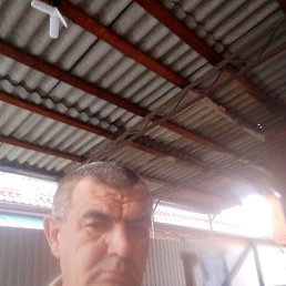 , 53 , 