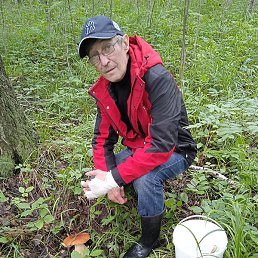 �����, ������������, 61 ���