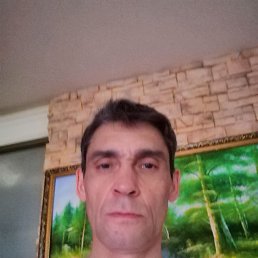 , 51, 