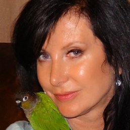 Valentina, ����, 64 ����